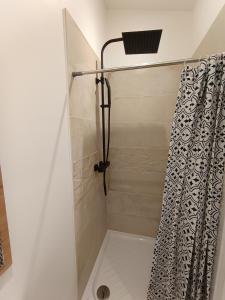 y baño con ducha y cortina de ducha. en Studio neuf des amandines en Pont-Sainte-Maxence