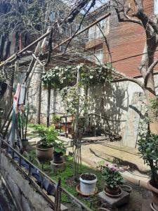 einen Garten mit Topfpflanzen vor einem Gebäude in der Unterkunft D&D apartaments in Tbilisi City