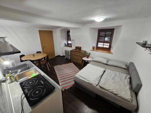 a bedroom with a bed and a kitchen with a sink at Apartment Room Old City - Apartment Slavija in Škofja Loka