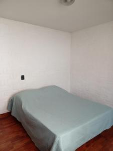 Bett in einem Zimmer mit einer weißen Wand in der Unterkunft EnBenegas in Mendoza