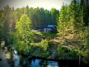 ÖstmarkenWater front scandinavian Forest View with no neighbors的河边树林中的一个小房子