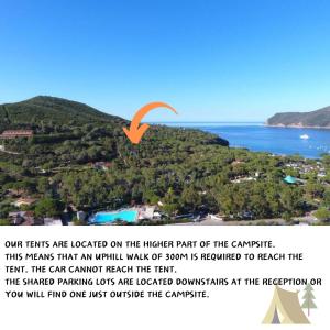 un pájaro naranja está volando sobre una montaña en Elba Travels - Lacona, en Lacona