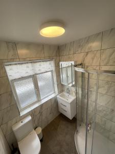 a bathroom with a toilet and a shower and a sink at Spacious one bedroom apartment with free parking in Enfield