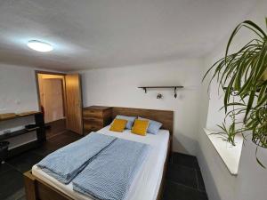 a bedroom with a bed with yellow pillows and a plant at Apartment Slovan in Škofja Loka +25 photos