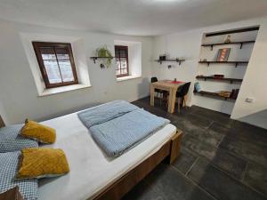 1 dormitorio con 1 cama grande y 1 mesa en Apartment Slovan, en Škofja Loka