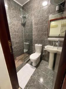 a bathroom with a toilet and a shower and a sink at Basha Pyramids inn in Cairo