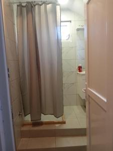 a shower with a shower curtain in a bathroom at Jovanluka apartman studio nadomak Arslanaginića mosta in Gradina