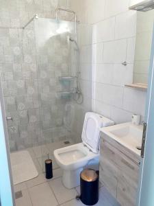 a bathroom with a shower and a toilet and a sink at ZEUS HOUSE in Symi