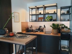 uma cozinha com um balcão e uma mesa com plantas em Villa Mili em Hvar