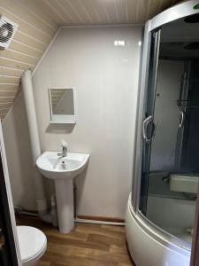 uma casa de banho com um lavatório, um chuveiro e um WC. em Комплекс Тимур em Taūtürgen