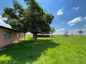 Příroda nedaleko kempu