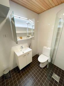 łazienka z toaletą i umywalką w obiekcie Docent's Flat w mieście Joensuu