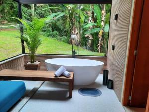 新弗里堡Chalé Mury的带大窗户的浴室里的浴缸