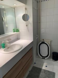 La salle de bains est pourvue d'un lavabo, d'un miroir et de toilettes. dans l'établissement APPARTEMENT + Parking 45m2 TOUR EIFFEL, à Paris