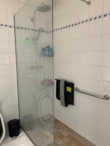 La salle de bains est pourvue d'une douche avec une porte en verre. dans l'établissement APPARTEMENT + Parking 45m2 TOUR EIFFEL, à Paris