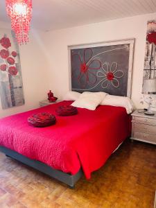 um quarto com uma grande cama vermelha com cobertores vermelhos em À casetta em Albertacce