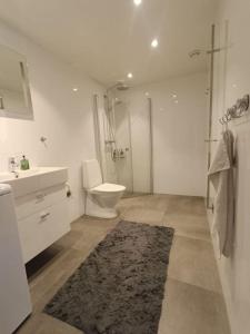 a bathroom with a toilet and a shower and a rug at Modern, private spacious & fully equipped for 2-6 people Near forest, with kitchen, washer, pets friendly in Floda