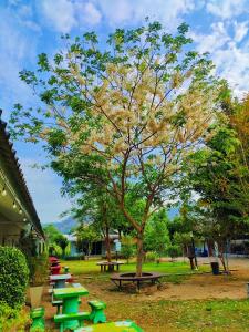 a group of picnic tables in a park with a tree at บ้านไม้หอมบูติค สวนผึ้ง in Ban Bo Wi
