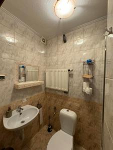 Łazienka z białą toaletą i umywalką w obiekcie Galant Hotel w Wieliczce