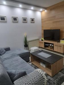 sala de estar con sofá y TV de pantalla plana en Apartman Pariz, en Slavonski Brod