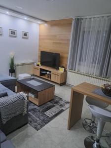 sala de estar con sofá y TV en Apartman Pariz, en Slavonski Brod
