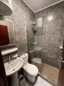a bathroom with a toilet and a sink and a shower at Basha Pyramids inn in Cairo