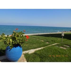 Φωτογραφία από το άλμπουμ του Sykia Seafront Maisonette near beach and mountain σε Sikéa
