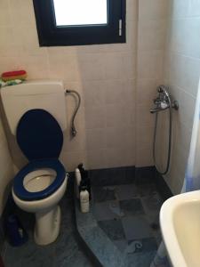 W łazience znajduje się toaleta, prysznic i umywalka. w obiekcie Villa Velika GR w mieście Velika