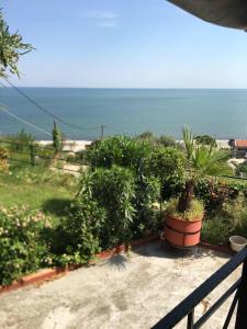 desde un balcón con plantas y vistas al océano en Villa Velika GR, en Velika