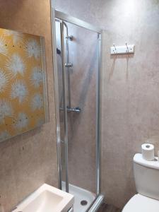 a bathroom with a shower with a toilet and a sink at IVY- Braveheart Guest House in Edinburgh