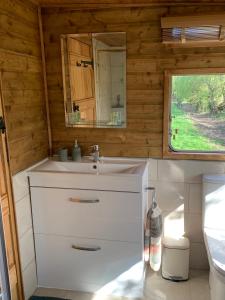 a bathroom with a sink and a mirror at The Showman, Luxury Camper in Halford