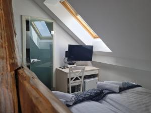 TV a/nebo společenská místnost v ubytování AZUR ROOMS LJUBLJANA