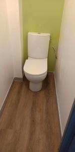 łazienka z białą toaletą w zielonej ścianie w obiekcie Studio blanctout équipé wifi w mieście Le Creusot