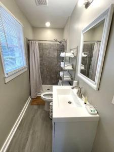 a bathroom with a sink and a toilet and a mirror at Stay @ The Birchwood/Remodeled & 15 min to DT in Birmingham