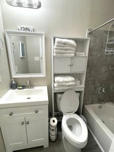 a bathroom with a toilet and a sink and a mirror at Stay @ The Birchwood/Remodeled & 15 min to DT in Birmingham