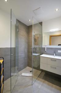 bagno con doccia in vetro e lavandino di Apartment Lina & Lejs a Gröbming