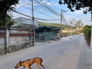 Fotografie z fotogalerie ubytování Happy House An Thới PQ v destinaci Phu Quoc