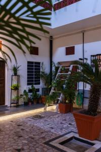 cortile con piante in vaso in un edificio di Heart of the City Homestay by Rashmi a Jaipur