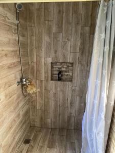 a shower in a bathroom with a shower curtain at Vasquez apartamentos in La Piña