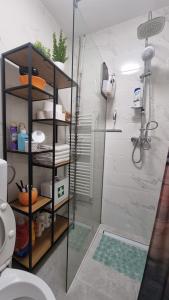 a bathroom with a shower and a toilet at Apartman Filipčić in Plitvička Jezera