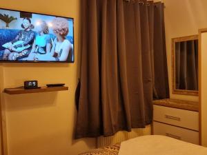 TV a/nebo společenská místnost v ubytování Steyn Guest Lodge