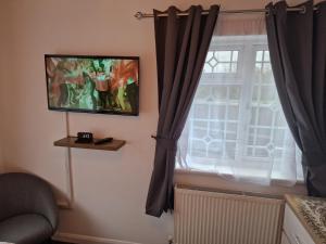 TV a/nebo společenská místnost v ubytování Steyn Guest Lodge