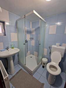een badkamer met een douche, een toilet en een wastafel bij Casa Maria Busteni - Poiana Tapului in Buşteni