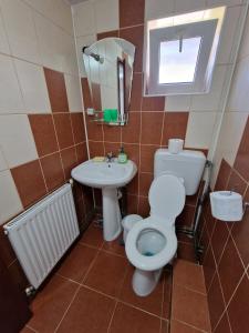 een badkamer met een toilet, een wastafel en een spiegel bij Casa Maria Busteni - Poiana Tapului in Buşteni