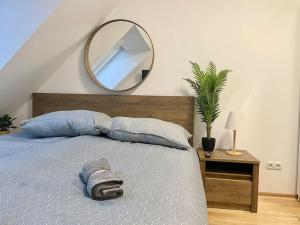 Schlafzimmer mit einem Bett und einem Spiegel an der Wand in der Unterkunft Modern Rooftop Apartment with Free Parking in Wien