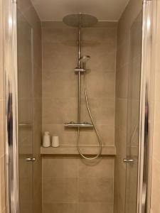 a shower in a bathroom with a glass door at Duplex « Les pieds dans l’eau » in Nernier