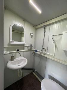 La salle de bains est pourvue d'un lavabo, de toilettes et d'un miroir. dans l'établissement Splav ANDJELA Perucac, à Perućac