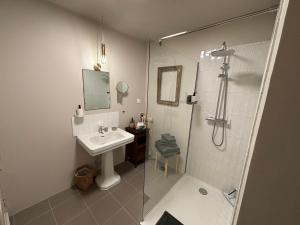 a bathroom with a shower and a sink and a shower at La haute trémière in Charenton sur Cher