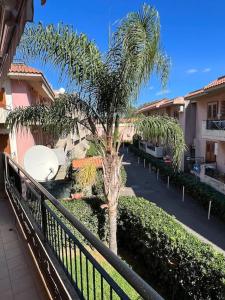 un palmier dans une cour à côté d'une clôture dans l'établissement Relax Sea Capomulini Appartamento su due livelli, à Acireale