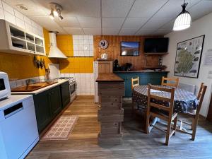 Marignyにあるgîtes des planchettesのキッチン(緑のキャビネット、テーブル付)、ダイニングルーム